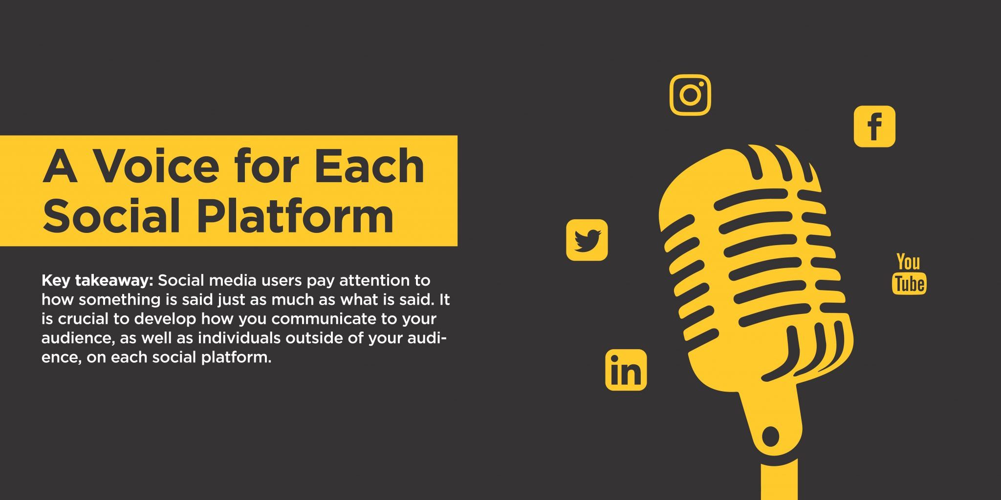 Voice for Social Platform-jan17-01